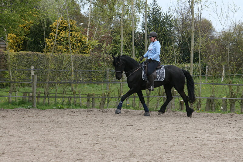 Afbeelding