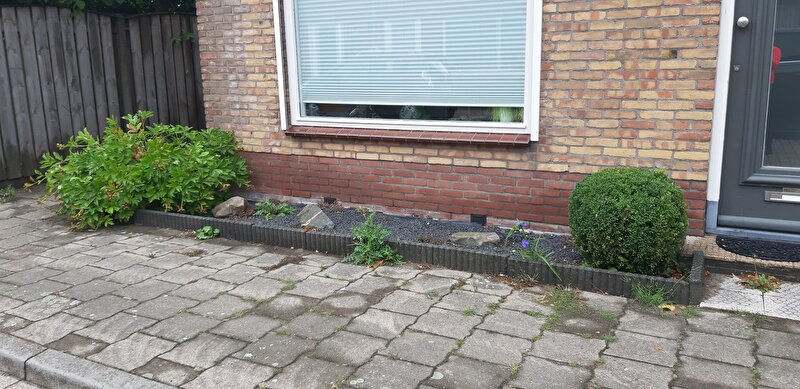 Afbeelding