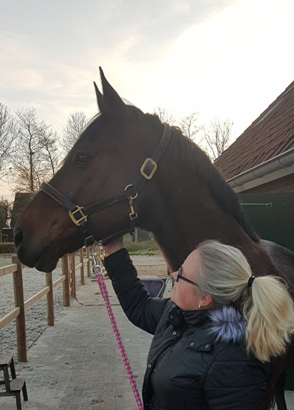 Afbeelding