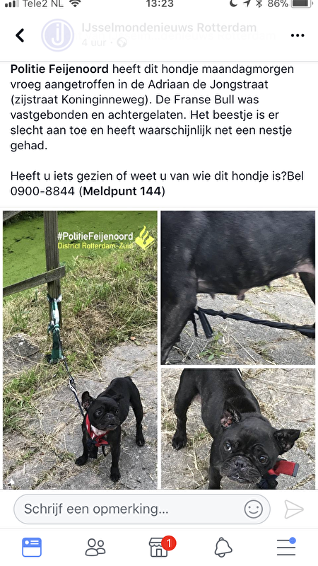 Afbeelding