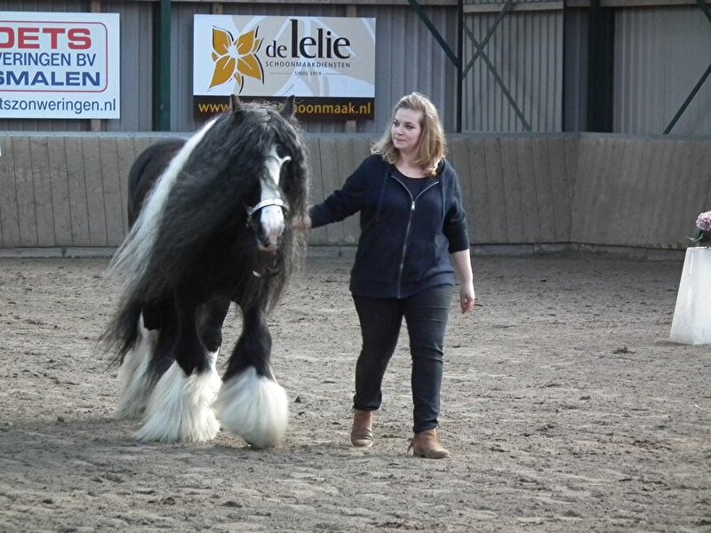 Afbeelding
