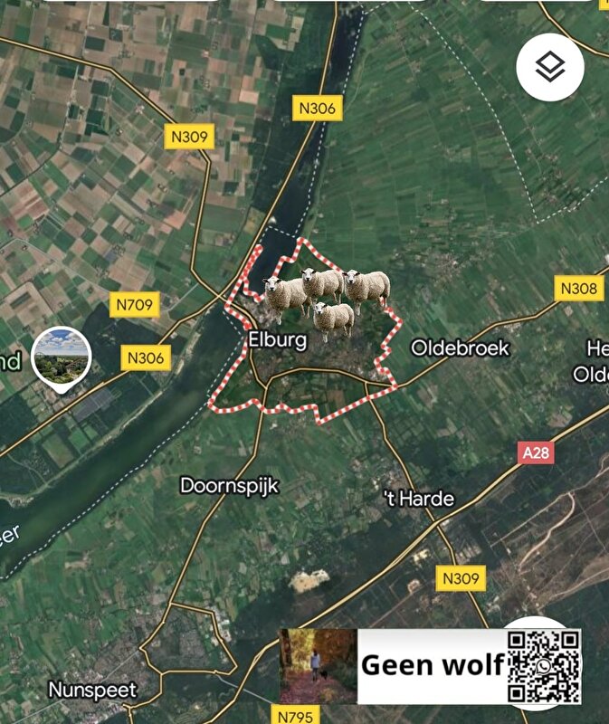 Afbeelding