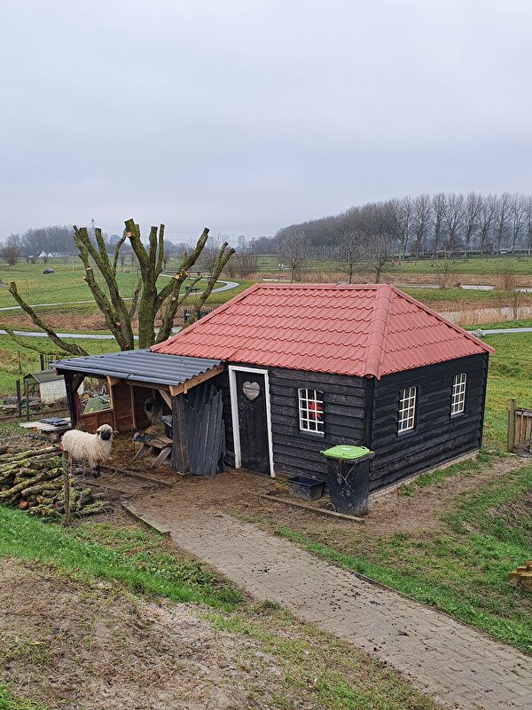Afbeelding