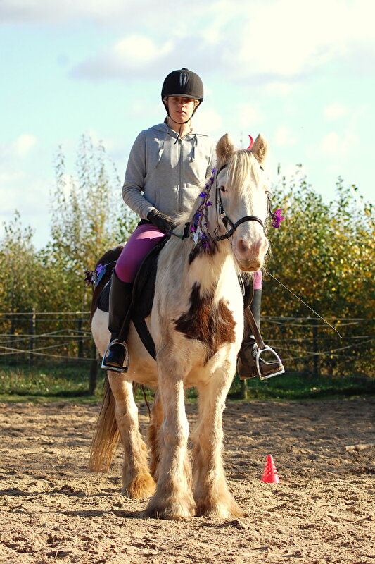 Afbeelding