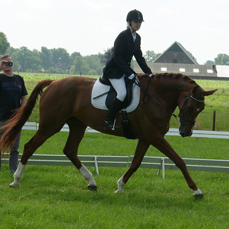 Afbeelding