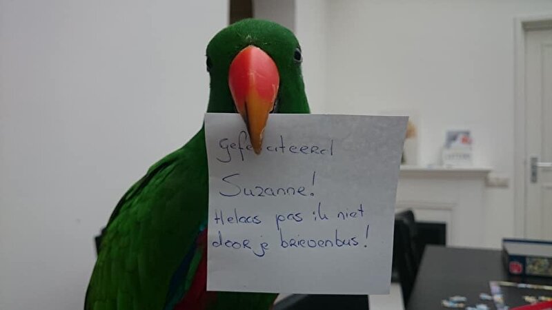 Afbeelding