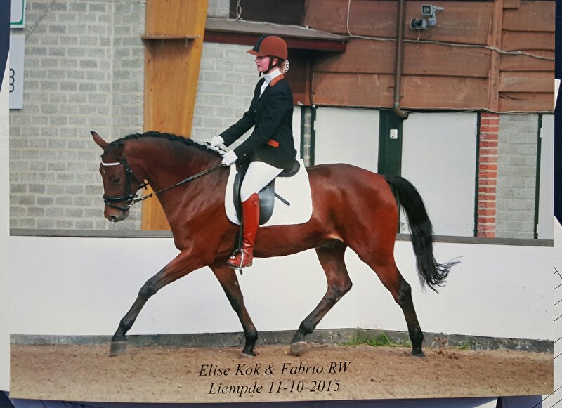 Afbeelding