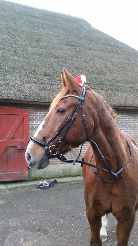 Afbeelding