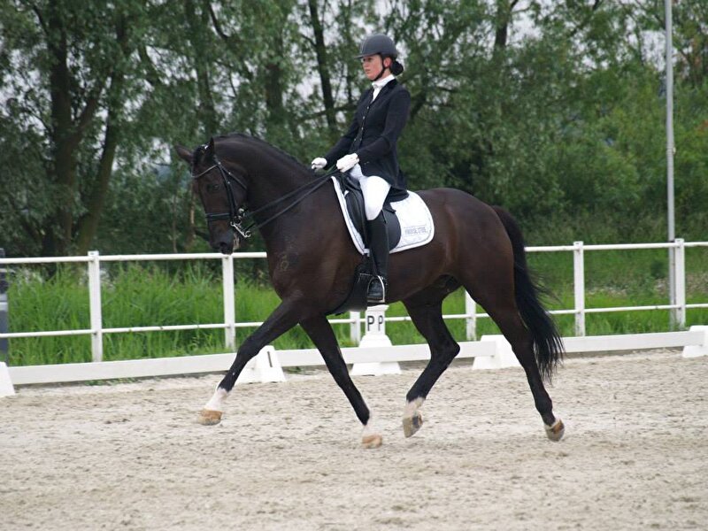 Afbeelding