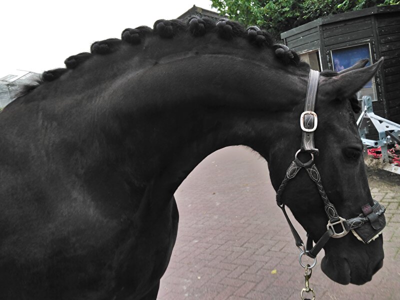 Afbeelding
