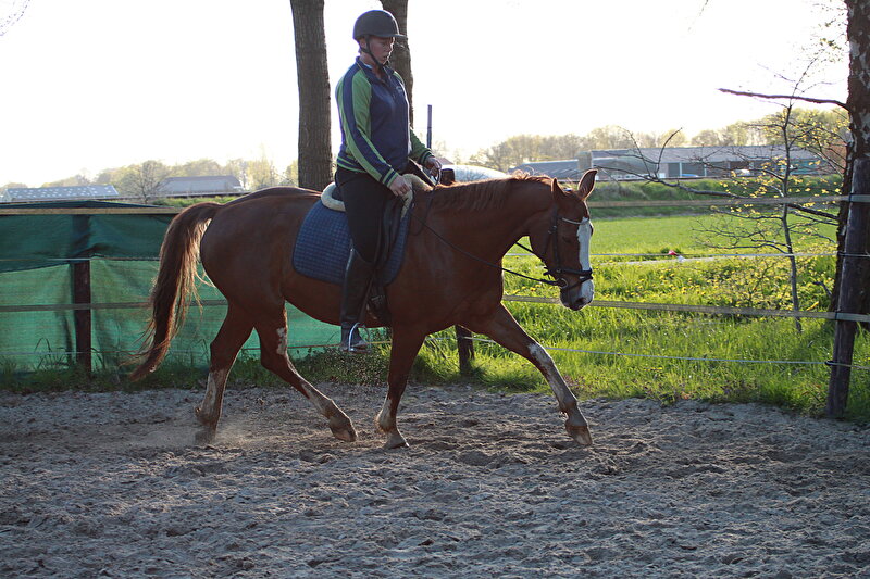 Afbeelding