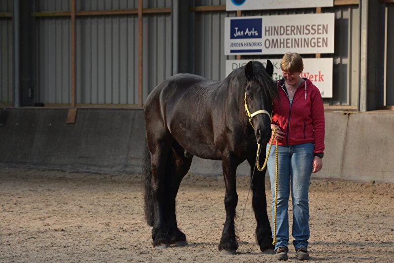 Afbeelding