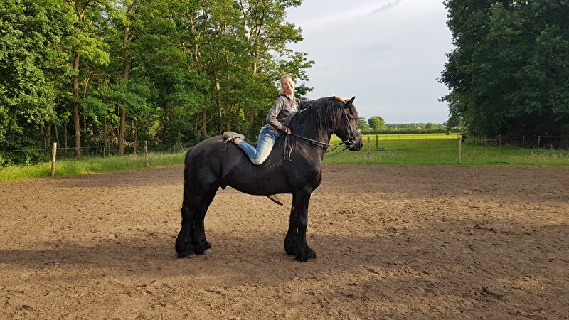 Afbeelding