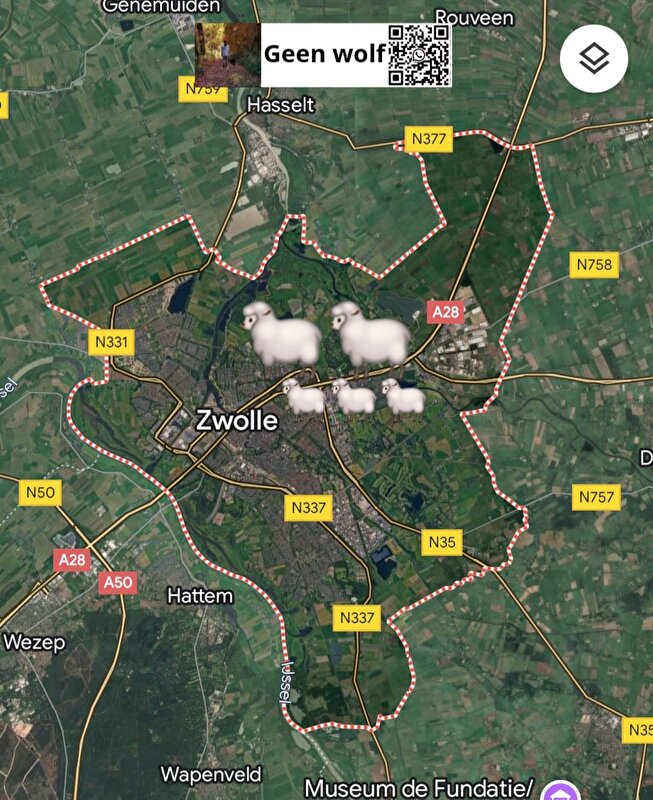 Afbeelding