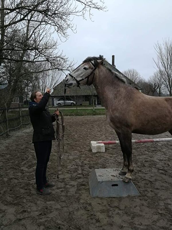 Afbeelding