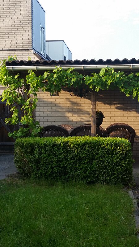 Afbeelding