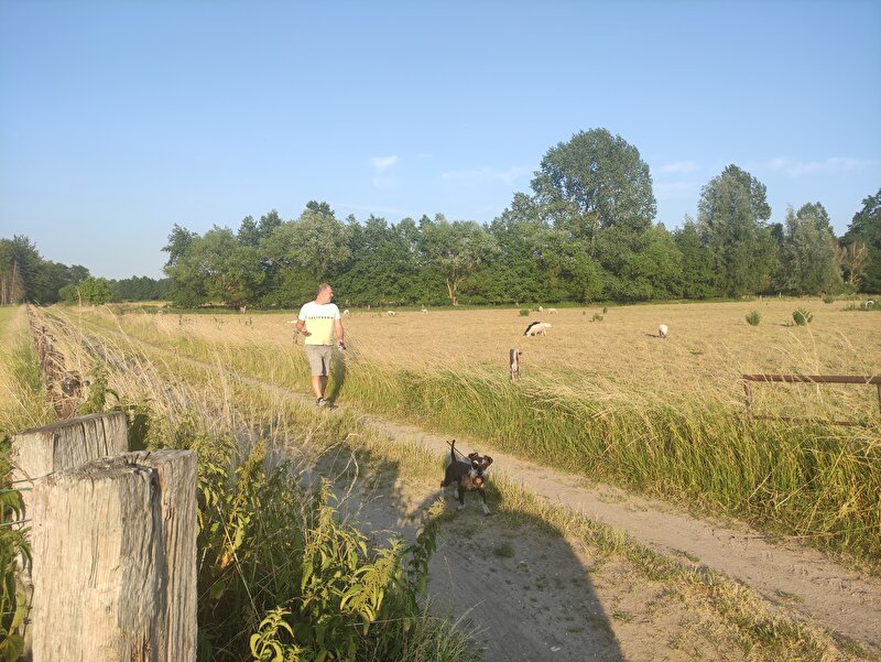 Afbeelding