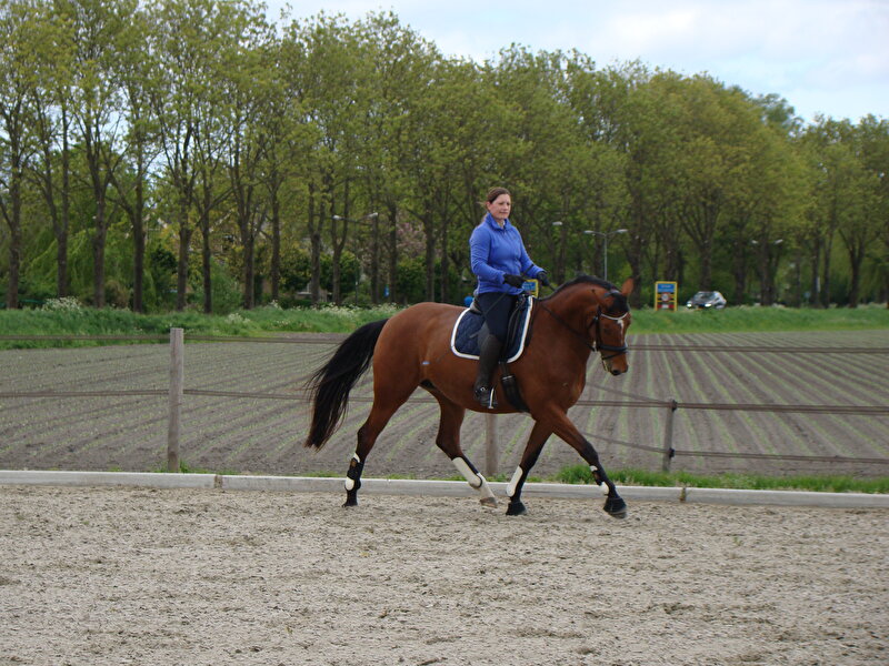 Afbeelding