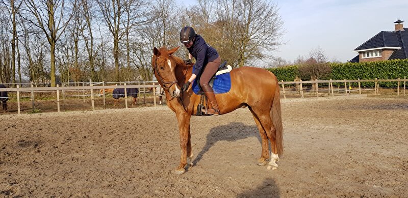 Afbeelding