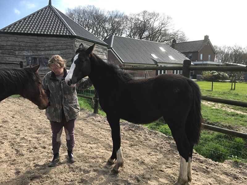Afbeelding