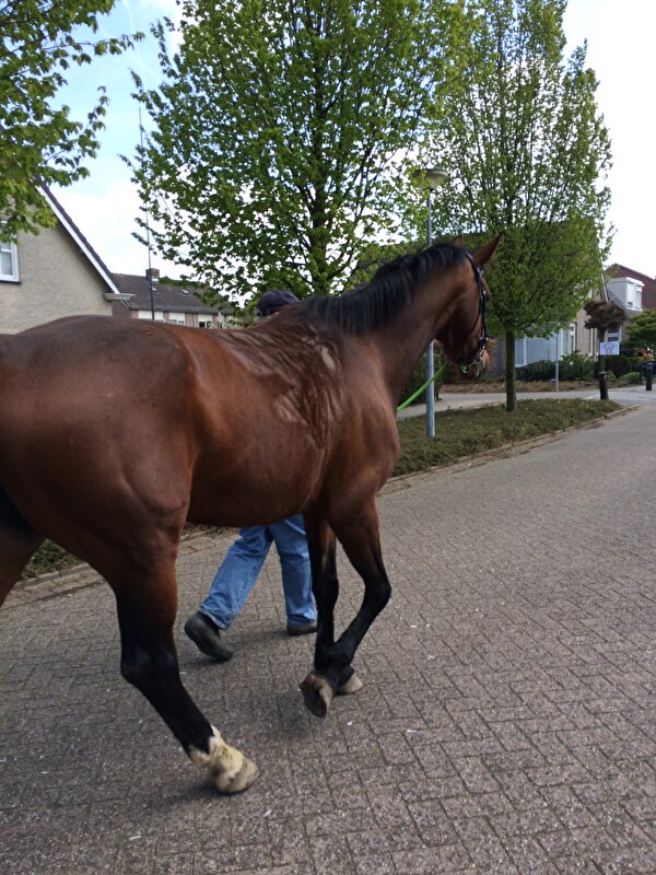 Afbeelding