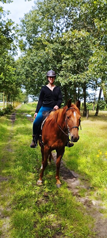 Afbeelding