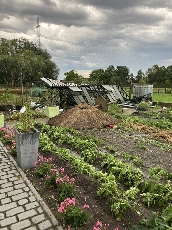 Afbeelding