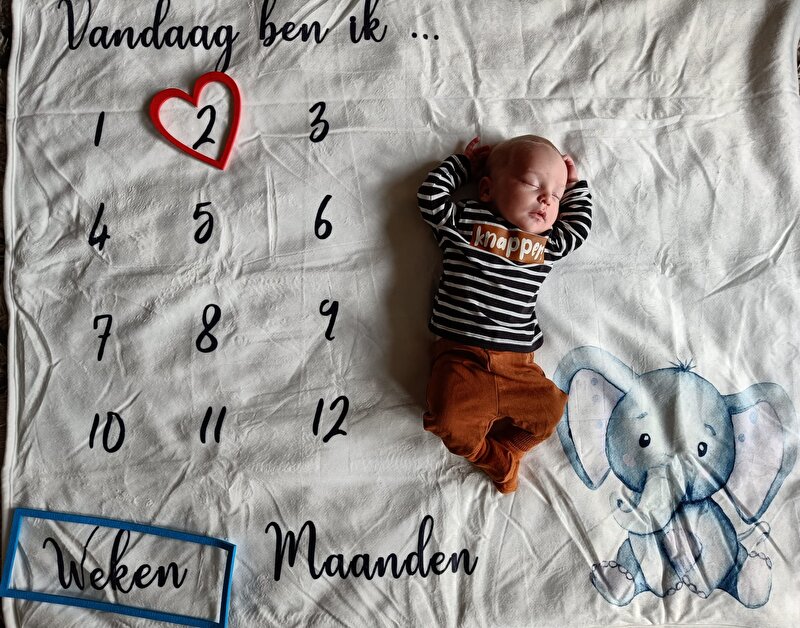 Afbeelding
