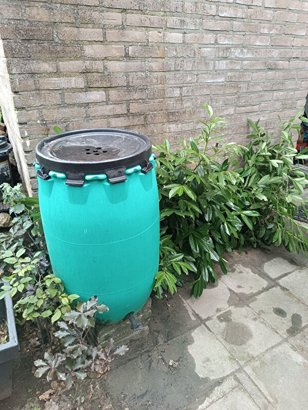 Afbeelding