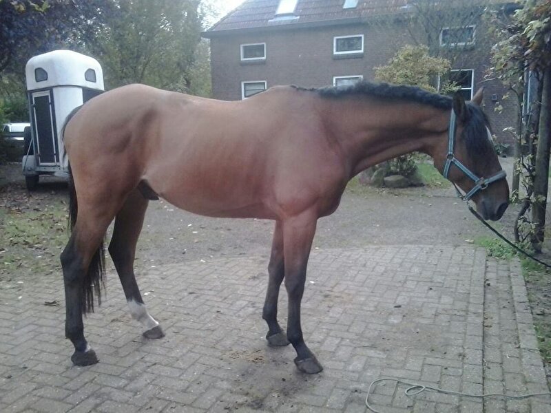 Afbeelding