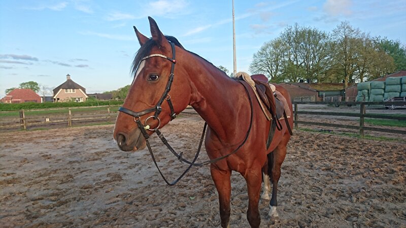 Afbeelding