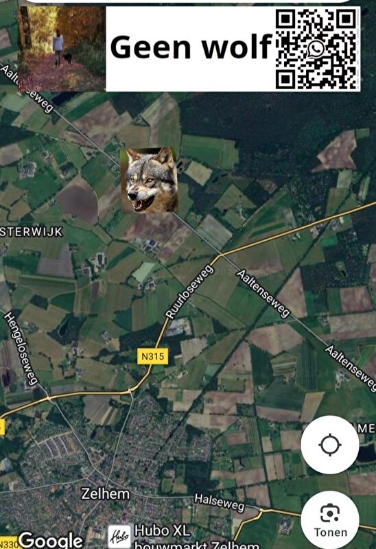 Afbeelding