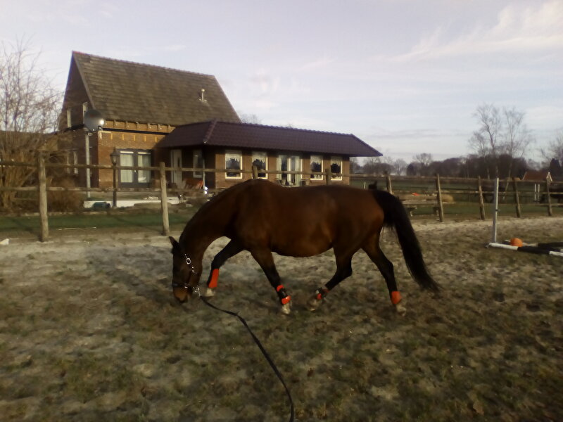 Afbeelding