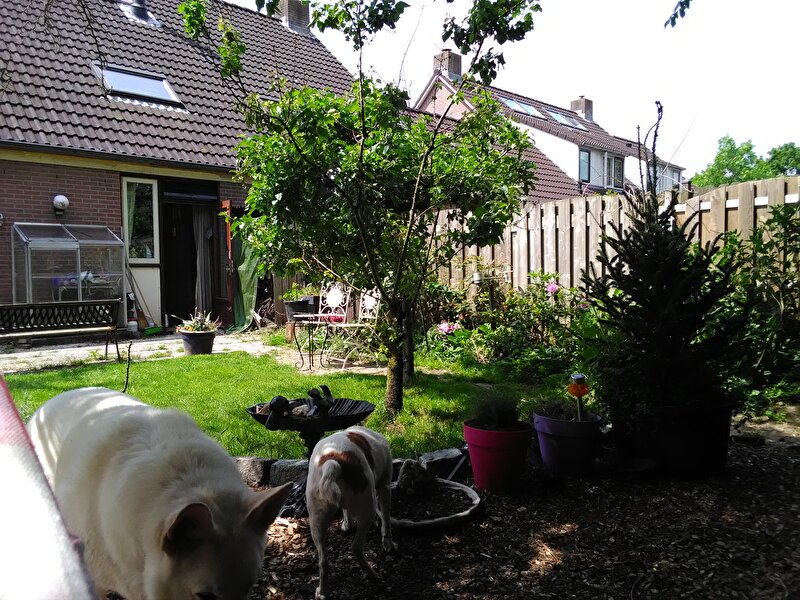 Afbeelding