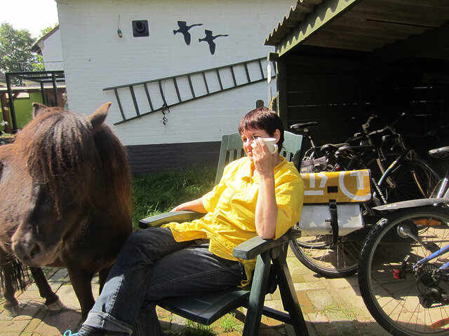 Afbeelding