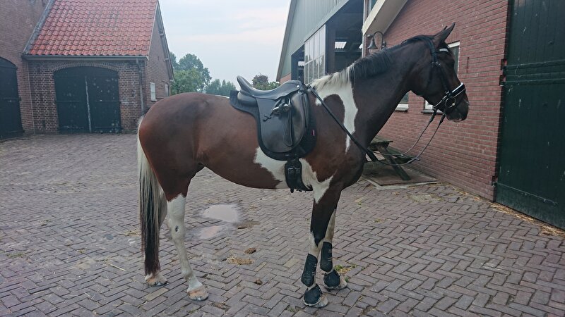 Afbeelding