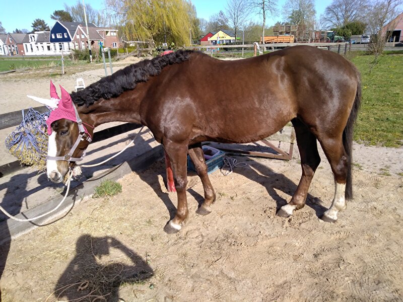 Afbeelding