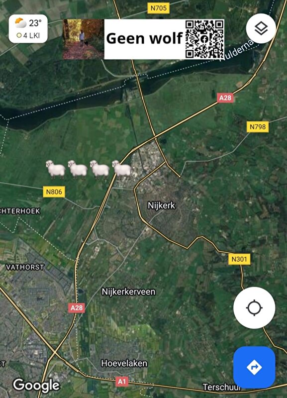 Afbeelding