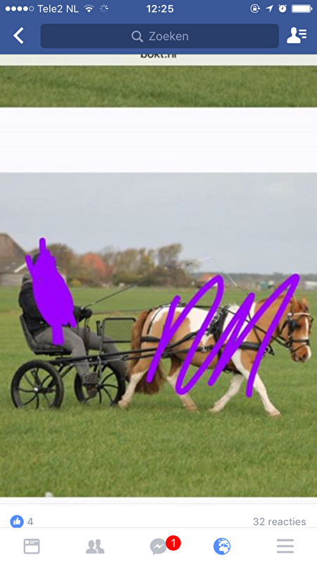 Afbeelding