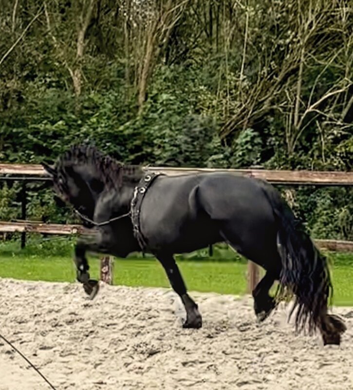 Afbeelding