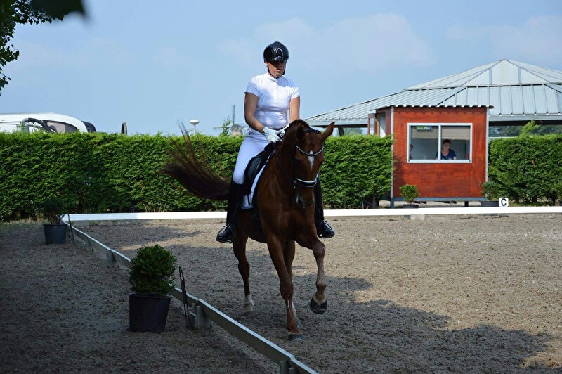 Afbeelding