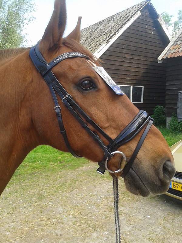 Afbeelding