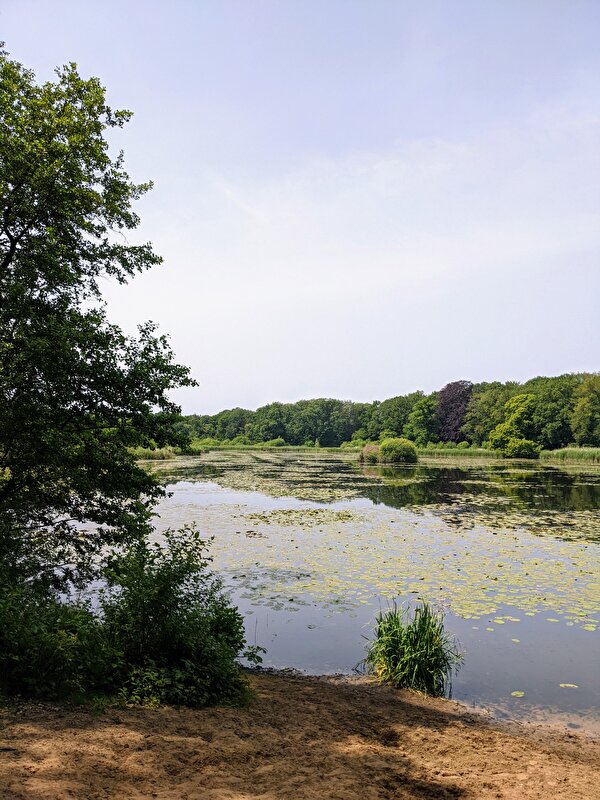 Afbeelding
