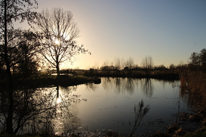 Afbeelding