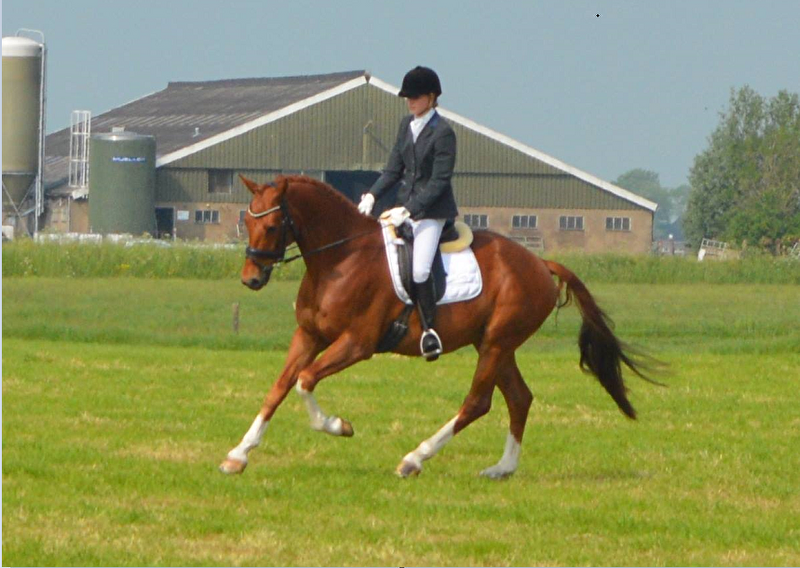 Afbeelding