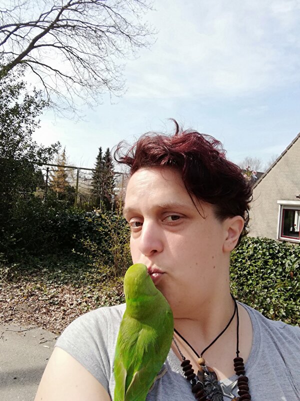 Afbeelding