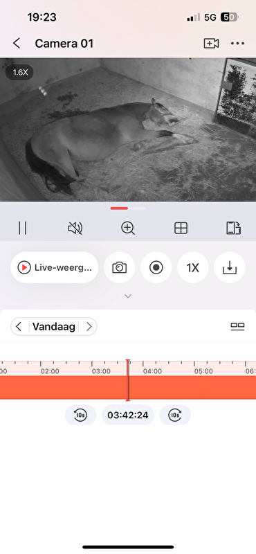 Afbeelding