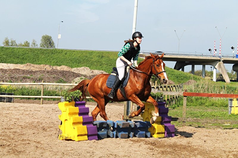 Afbeelding
