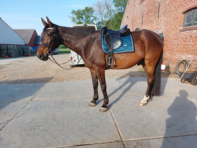Afbeelding