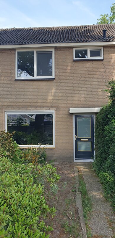 Afbeelding